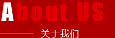 公司介绍